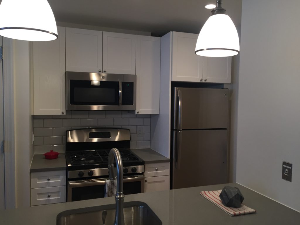 Image showcasing Top 5 Things to Look for In a Luxury Apartment Kitchen - The Union